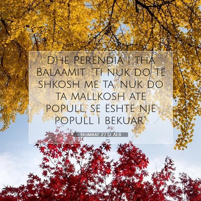 Picture 07 - Numrat 22:12 ALB - Dhe Perëndia i tha Balaamit: 