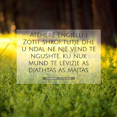 Picture 07 - Numrat 22:26 ALB - Atëherë Engjëlli i Zotit shkoi tutje dhe u - Bible Verse Picture