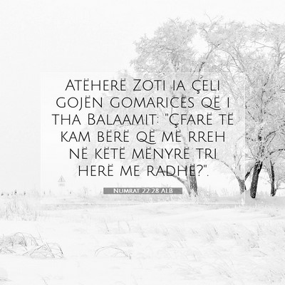 Picture 07 - Numrat 22:28 ALB - Atëherë Zoti ia çeli gojën gomaricës që i - Bible Verse Picture