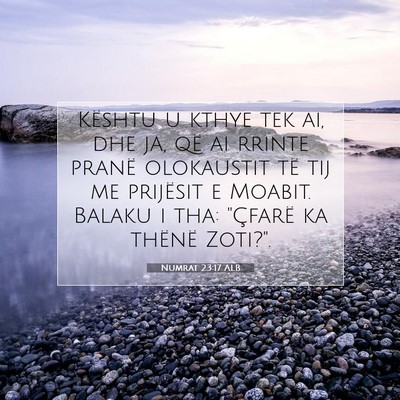 Picture 07 - Numrat 23:17 ALB - Kështu u kthye tek ai, dhe ja, që ai rrinte - Bible Verse Picture