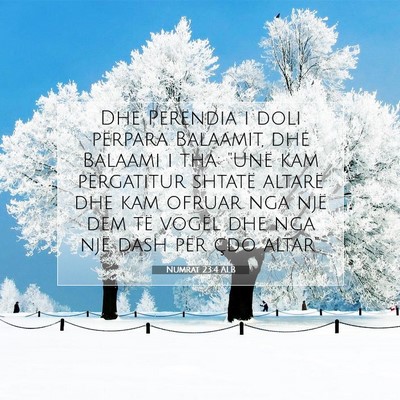 Picture 07 - Numrat 23:4 ALB - Dhe Perëndia i doli përpara Balaamit, dhe - Bible Verse Picture
