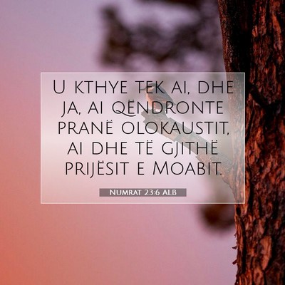 Picture 07 - Numrat 23:6 ALB - U kthye tek ai, dhe ja, ai qëndronte pranë - Bible Verse Picture