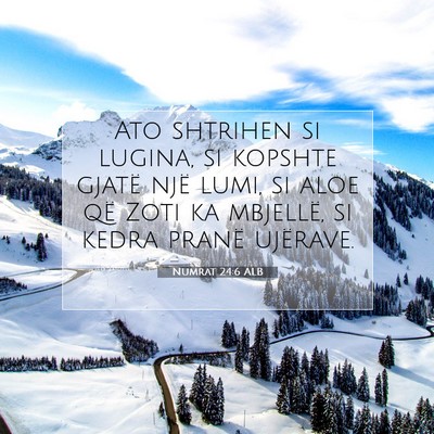 Picture 07 - Numrat 24:6 ALB - Ato shtrihen si lugina, si kopshte gjatë një - Bible Verse Picture