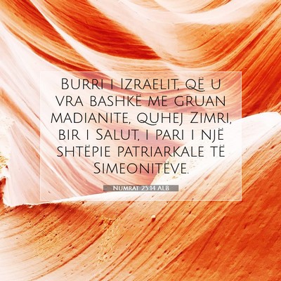 Picture 07 - Numrat 25:14 ALB - Burri i Izraelit, që u vra bashkë me gruan - Bible Verse Picture
