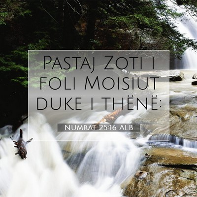 Picture 07 - Numrat 25:16 ALB - Pastaj Zoti i foli Moisiut duke i - Bible Verse Picture
