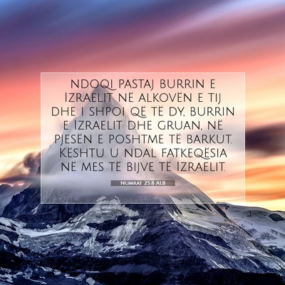 Picture 07 - Numrat 25:8 ALB - ndoqi pastaj burrin e Izraelit në alkovën e tij - Bible Verse Picture
