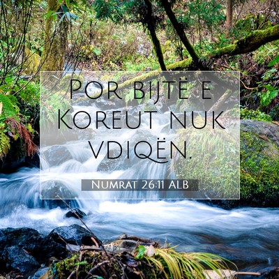 Picture 07 - Numrat 26:11 ALB - Por bijtë e Koreut nuk - Bible Verse Picture