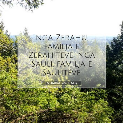 Picture 07 - Numrat 26:13 ALB - nga Zerahu, familja e Zerahitëve; nga Sauli, - Bible Verse Picture