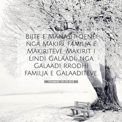 Picture 07 - Numrat 26:29 ALB - Bijtë e Manasit qenë: nga Makiri, familja e - Bible Verse Picture