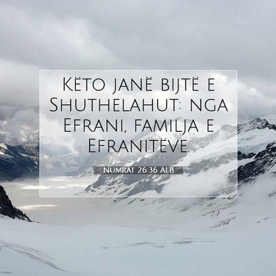 Picture 07 - Numrat 26:36 ALB - Këto janë bijtë e Shuthelahut: nga Efrani, - Bible Verse Picture