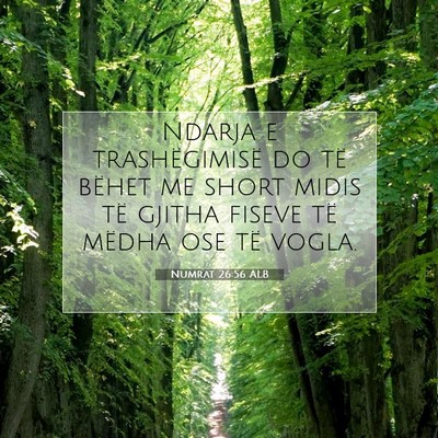 Picture 07 - Numrat 26:56 ALB - Ndarja e trashëgimisë do të bëhet me short - Bible Verse Picture