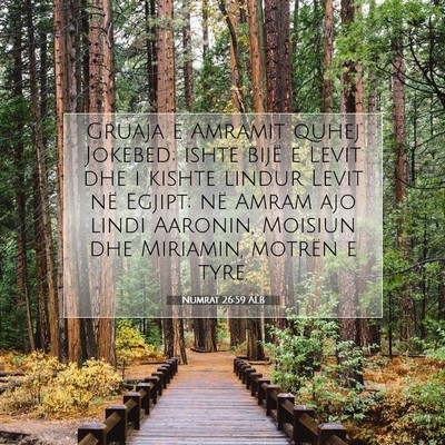 Picture 07 - Numrat 26:59 ALB - Gruaja e Amramit quhej Jokebed; ishte bijë e - Bible Verse Picture