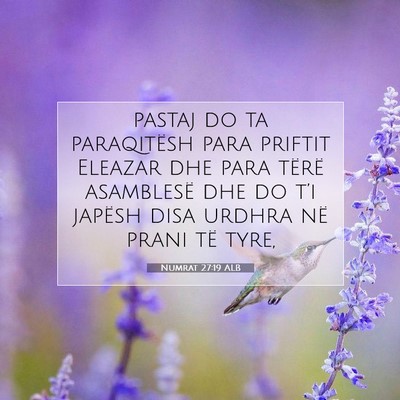 Picture 07 - Numrat 27:19 ALB - pastaj do ta paraqitësh para priftit Eleazar dhe - Bible Verse Picture