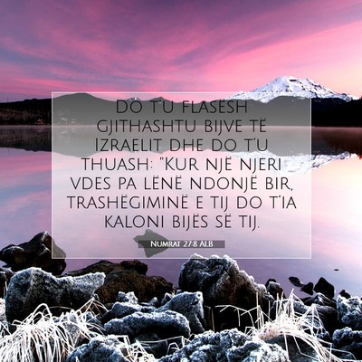 Picture 07 - Numrat 27:8 ALB - Do t’u flasësh gjithashtu bijve të Izraelit - Bible Verse Picture