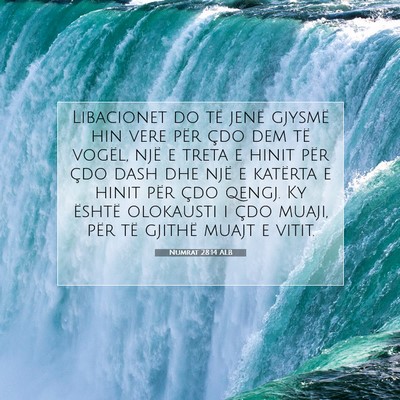 Picture 07 - Numrat 28:14 ALB - Libacionet do të jenë gjysmë hin vere për - Bible Verse Picture