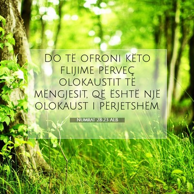 Picture 07 - Numrat 28:23 ALB - Do të ofroni këto flijime përveç olokaustit - Bible Verse Picture