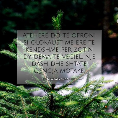 Picture 07 - Numrat 28:27 ALB - Atëherë do të ofroni si olokaust me erë të - Bible Verse Picture