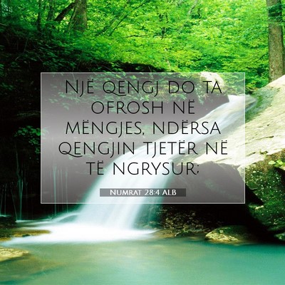 Picture 07 - Numrat 28:4 ALB - Një qengj do ta ofrosh në mëngjes, ndërsa - Bible Verse Picture