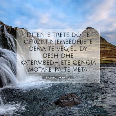 Picture 07 - Numrat 29:20 ALB - Ditën e tretë do të ofroni njëmbëdhjetë - Bible Verse Picture