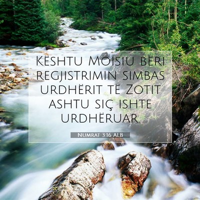 Picture 07 - Numrat 3:16 ALB - Kështu Moisiu bëri regjistrimin simbas - Bible Verse Picture