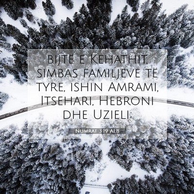 Picture 07 - Numrat 3:19 ALB - bijtë e Kehathit, simbas familjeve të tyre, - Bible Verse Picture