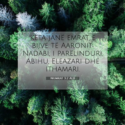 Picture 07 - Numrat 3:2 ALB - Këta janë emrat e bijve të Aaronit: Nadabi, i - Bible Verse Picture
