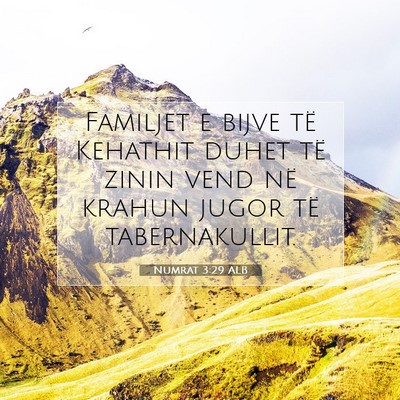 Picture 07 - Numrat 3:29 ALB - Familjet e bijve të Kehathit duhet të zinin - Bible Verse Picture