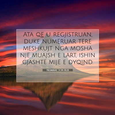 Picture 07 - Numrat 3:34 ALB - Ata që u regjistruan, duke numëruar tërë - Bible Verse Picture