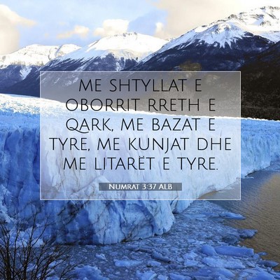 Picture 07 - Numrat 3:37 ALB - me shtyllat e oborrit rreth e qark, me bazat e - Bible Verse Picture