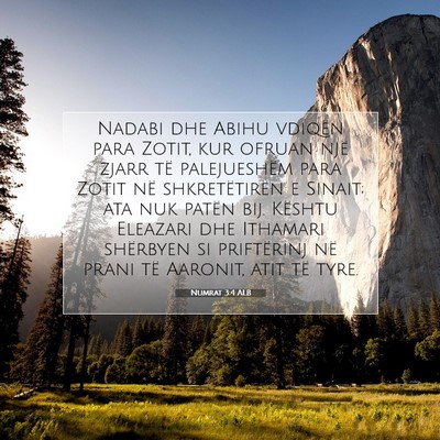 Picture 07 - Numrat 3:4 ALB - Nadabi dhe Abihu vdiqën para Zotit, kur ofruan - Bible Verse Picture