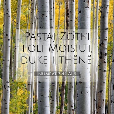 Picture 07 - Numrat 3:44 ALB - Pastaj Zoti i foli Moisiut, duke i - Bible Verse Picture