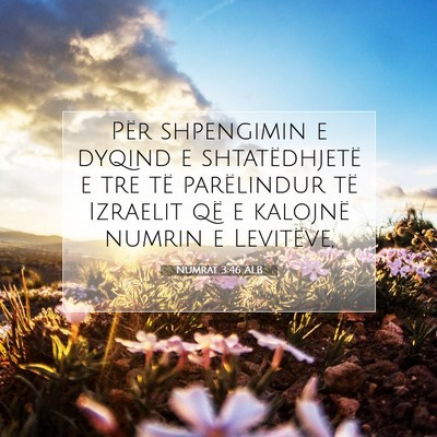 Picture 07 - Numrat 3:46 ALB - Për shpengimin e dyqind e shtatëdhjetë e tre - Bible Verse Picture