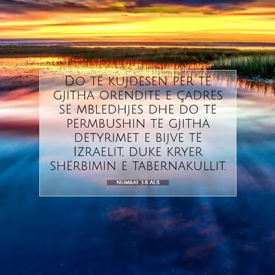 Picture 07 - Numrat 3:8 ALB - Do të kujdesen për të gjitha orenditë e - Bible Verse Picture