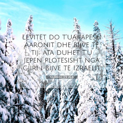 Picture 07 - Numrat 3:9 ALB - Levitët do t’ua japësh Aaronit dhe bijve të - Bible Verse Picture