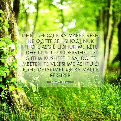 Picture 07 - Numrat 30:11 ALB - dhe i shoqi e ka marrë vesh, në qoftë se i - Bible Verse Picture