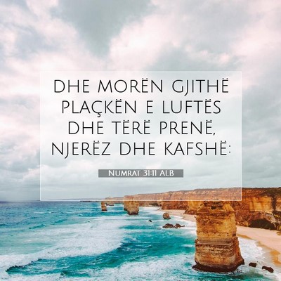 Picture 07 - Numrat 31:11 ALB - dhe morën gjithë plaçkën e luftës dhe tërë - Bible Verse Picture