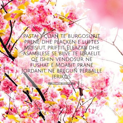 Picture 07 - Numrat 31:12 ALB - pastaj i çuan të burgosurit, prenë dhe - Bible Verse Picture