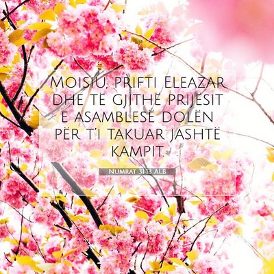 Picture 07 - Numrat 31:13 ALB - Moisiu, prifti Eleazar dhe të gjithë prijësit - Bible Verse Picture