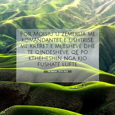 Picture 07 - Numrat 31:14 ALB - Por Moisiu u zemërua me komandantët e - Bible Verse Picture