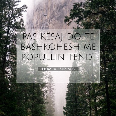 Picture 07 - Numrat 31:2 ALB - pas kësaj do të bashkohesh me popullin - Bible Verse Picture