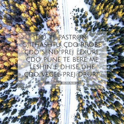 Picture 07 - Numrat 31:20 ALB - Do të pastroni gjithashtu çdo rrobë, çdo send - Bible Verse Picture