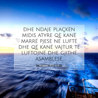 Picture 07 - Numrat 31:27 ALB - dhe ndaje plaçkën midis atyre që kanë marrë - Bible Verse Picture