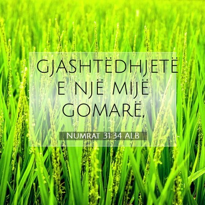 Picture 07 - Numrat 31:34 ALB - gjashtëdhjetë e një mijë - Bible Verse Picture