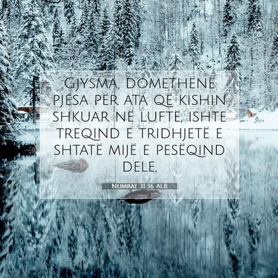 Picture 07 - Numrat 31:36 ALB - Gjysma, domethënë pjesa për ata që kishin - Bible Verse Picture