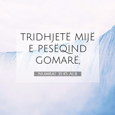 Picture 07 - Numrat 31:45 ALB - tridhjetë mijë e pesëqind - Bible Verse Picture