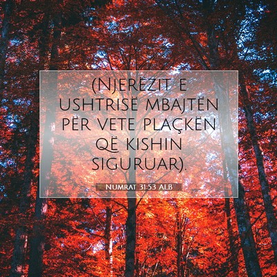 Picture 07 - Numrat 31:53 ALB - (Njerëzit e ushtrisë mbajtën për vete - Bible Verse Picture