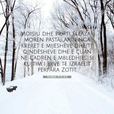 Picture 07 - Numrat 31:54 ALB - Moisiu dhe prifti Eleazar morën pastaj arin nga - Bible Verse Picture