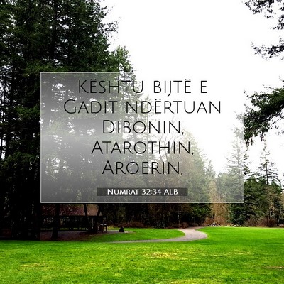 Picture 07 - Numrat 32:34 ALB - Kështu bijtë e Gadit ndërtuan Dibonin, - Bible Verse Picture