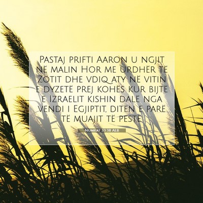 Picture 07 - Numrat 33:38 ALB - Pastaj prifti Aaron u ngjit në malin Hor me - Bible Verse Picture