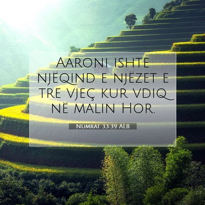 Picture 07 - Numrat 33:39 ALB - Aaroni ishte njëqind e njëzet e tre vjeç kur - Bible Verse Picture